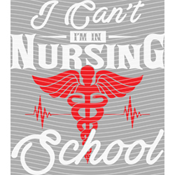 nurse-HS 481